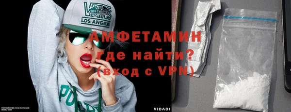 индика Горняк