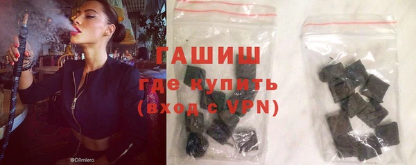 индика Горняк
