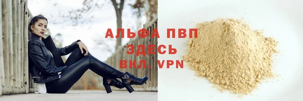 индика Горняк