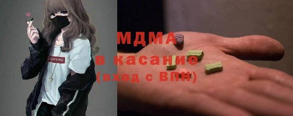 индика Горняк