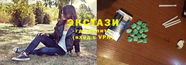 индика Горняк