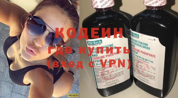 индика Горняк