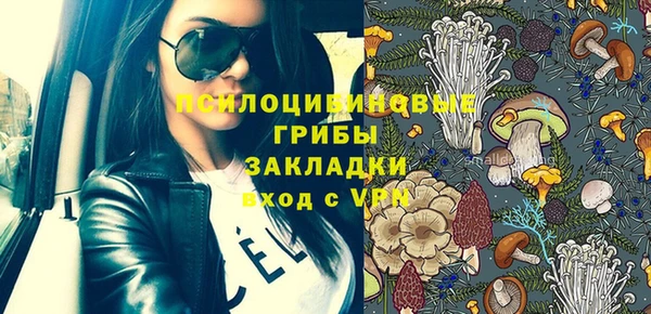индика Горняк