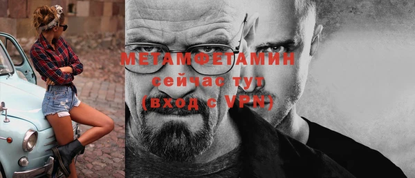 индика Горняк
