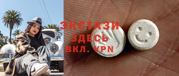 индика Горняк